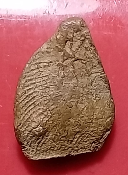 20250330_212418.jpg