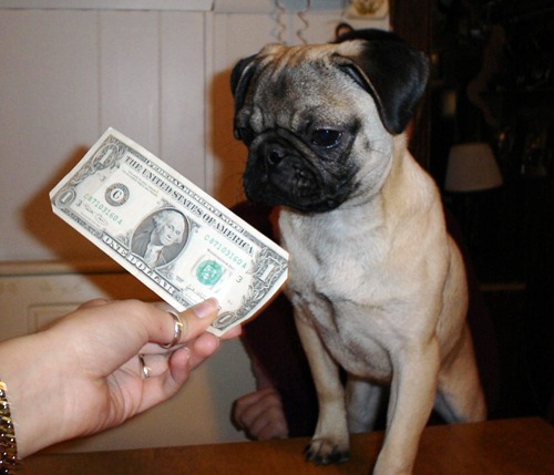 moneyFz_fs_thumb%5B3%5D.jpg