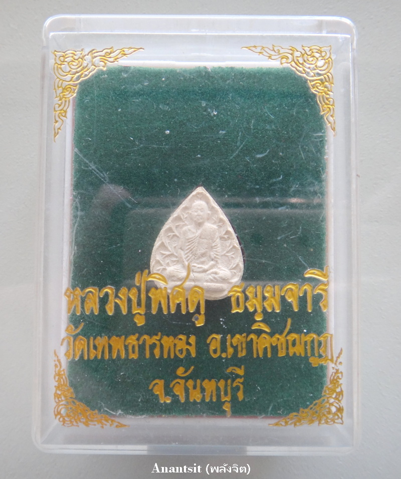 P1.JPG